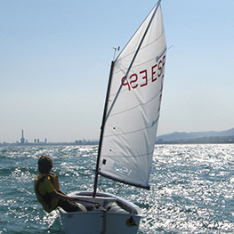optimist zeil green quantum sails tot 46 kg